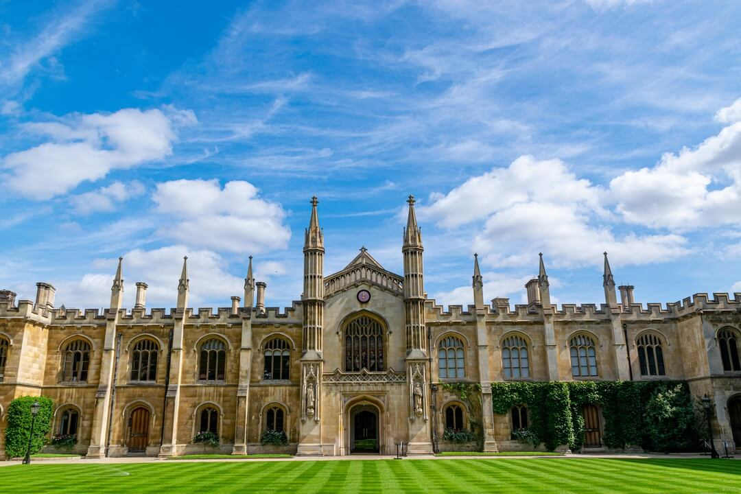 Best University Courses for High Salary in 2025